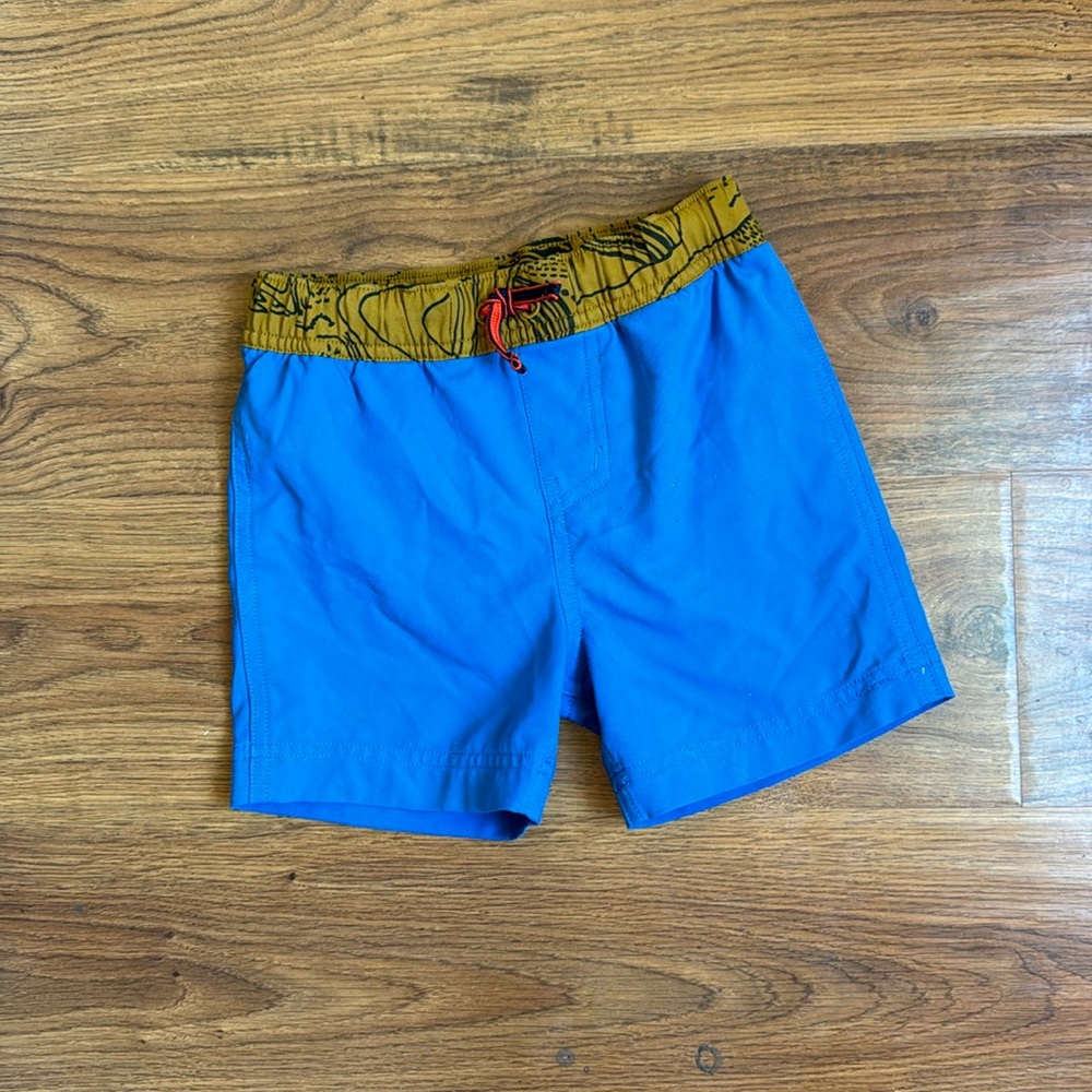 3T REI Lined swim shorts